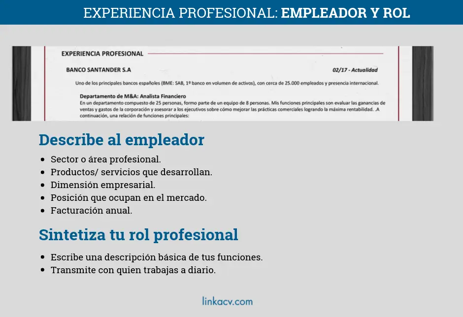 que pongo en empleador cv - Qué quiere decir el nombre del empleador